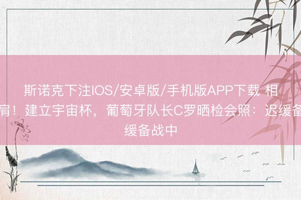 斯诺克下注IOS/安卓版/手机版APP下载 相继比肩！建立宇宙杯，葡萄牙队长C罗晒检会照：迟缓备战中