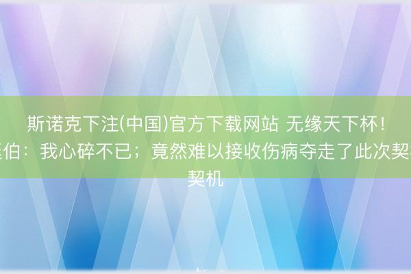 斯诺克下注(中国)官方下载网站 无缘天下杯!廷伯:我心碎不已;竟然难以接收伤病夺走了此次契机