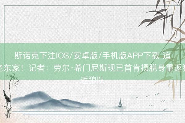 斯诺克下注IOS/安卓版/手机版APP下载 追溯老东家！记者：劳尔·希门尼斯现已首肯摆脱身重返狼队