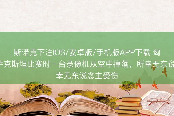 斯诺克下注IOS/安卓版/手机版APP下载 匈牙利-哈萨克斯坦比赛时一台录像机从空中掉落，所幸无东说念主受伤