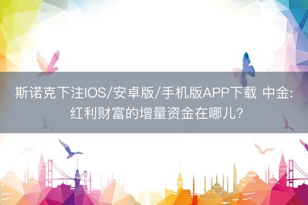 斯诺克下注IOS/安卓版/手机版APP下载 中金: 红利财富的增量资金在哪儿?