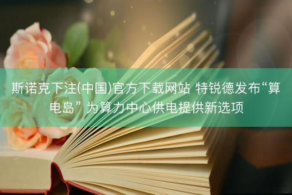斯诺克下注(中国)官方下载网站 特锐德发布“算电岛” 为算力中心供电提供新选项