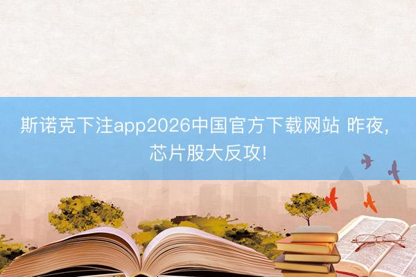 斯诺克下注app2026中国官方下载网站 昨夜， 芯片股大反攻!