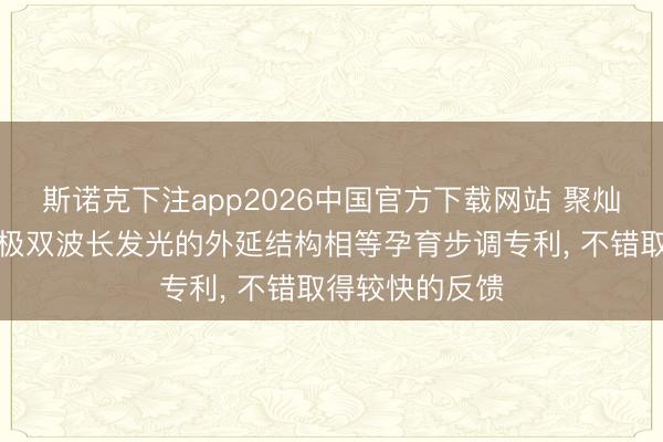 斯诺克下注app2026中国官方下载网站 聚灿光电央求三电极双波长发光的外延结构相等孕育步调专利， 不错取得较快的反馈
