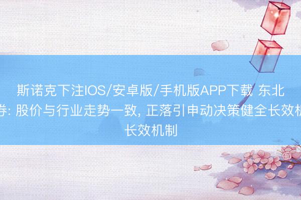 斯诺克下注IOS/安卓版/手机版APP下载 东北证券: 股价与行业走势一致， 正落引申动决策健全长效机制