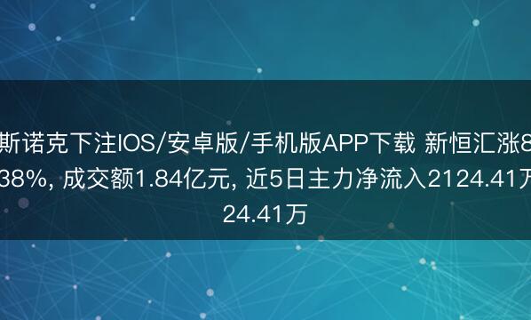 斯诺克下注IOS/安卓版/手机版APP下载 新恒汇涨8.38%， 成交额1.84亿元， 近5日主力净流入2124.41万