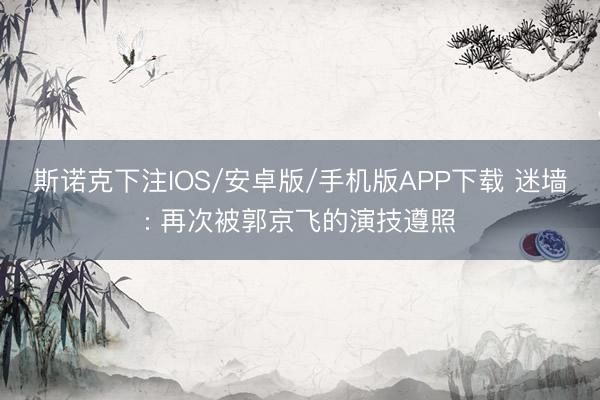 斯诺克下注IOS/安卓版/手机版APP下载 迷墙: 再次被郭京飞的演技遵照