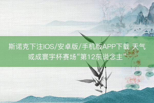 斯诺克下注IOS/安卓版/手机版APP下载 天气或成寰宇杯赛场“第12东说念主”