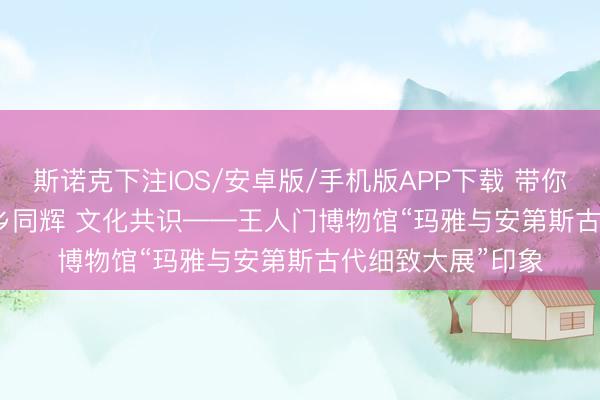 斯诺克下注IOS/安卓版/手机版APP下载 带你一齐看大展丨外乡同辉 文化共识——王人门博物馆“玛雅与安第斯古代细致大展”印象
