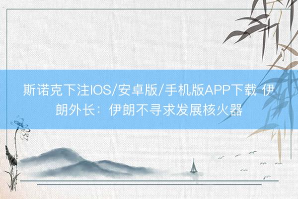 斯诺克下注IOS/安卓版/手机版APP下载 伊朗外长:伊朗不寻求发展核火器