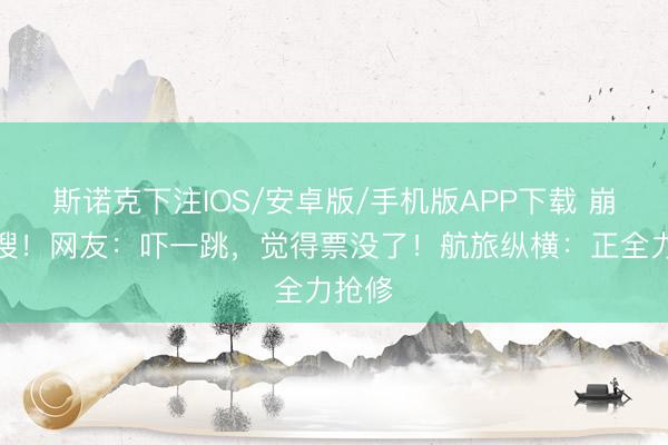 斯诺克下注IOS/安卓版/手机版APP下载 崩上热搜!网友:吓一跳,觉得票没了!航旅纵横:正全力抢修
