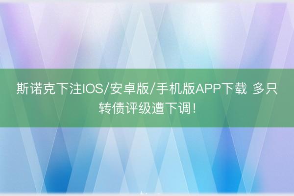 斯诺克下注IOS/安卓版/手机版APP下载 多只转债评级遭下调！